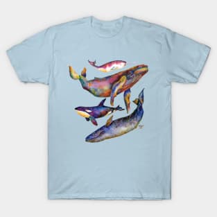 Four Whale Quartet - A Quartet of Whales T-Shirt